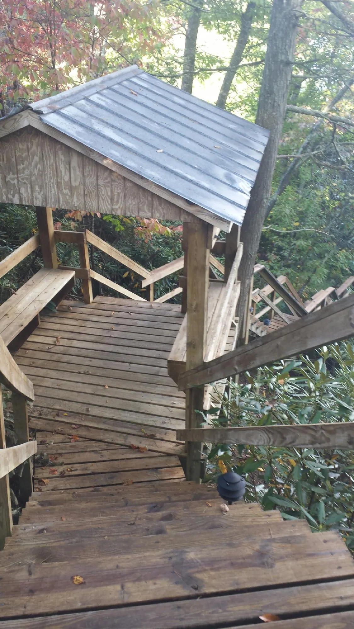 Metal roofed shelter over wooden steps on a wooded walkway — Skylight Repair & Installation work by our crew in Eighty Eight